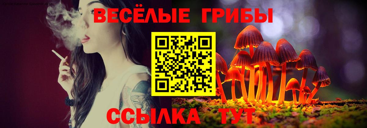 Балашов  Галлюциногенные грибы мицелий  Вход с VPN 