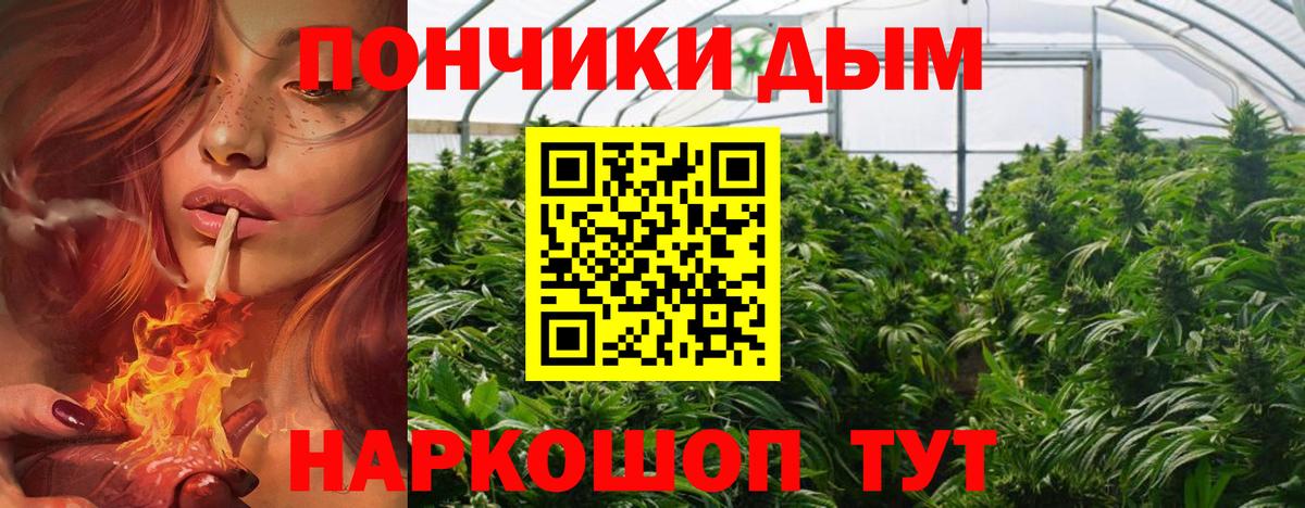 Шишки марихуана гибрид  Канабис VHQ  Балашов  Вход с VPN  Конопля ГИДРОПОН 